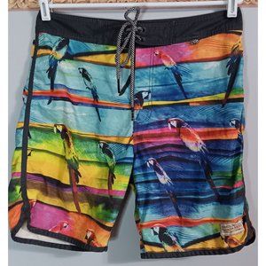 Los Angeles Third & Army 31 Parrots Colorful Beach Travel Pool Cruise Swim Trunk
